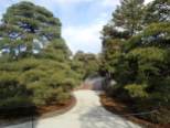 Le jardin japonais ds toute sa splendeur.