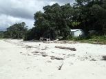Le cyclone a ramené une quantité inouïe de bois sur les plages.